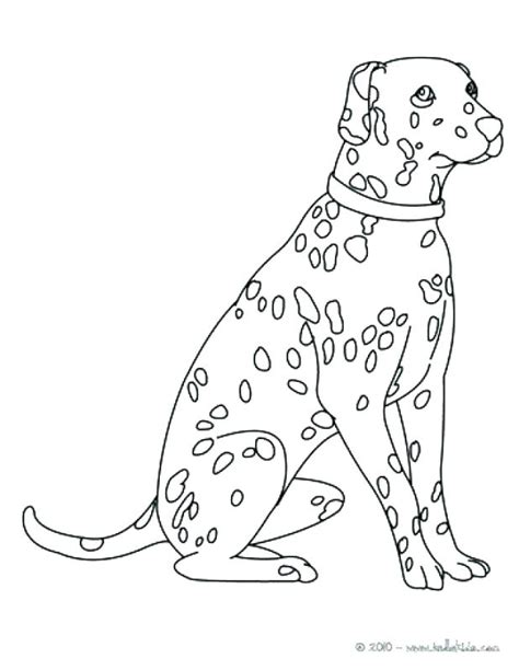 Dalmatian Spots Printable Coloring Pages