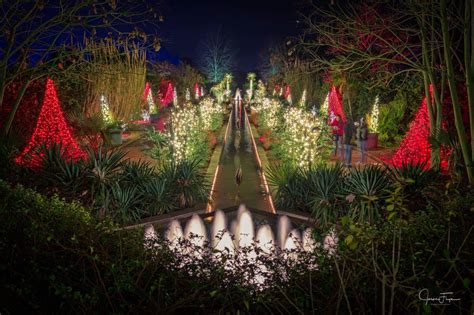 Holiday Lights at the Daniel Stowe Botanical Garden