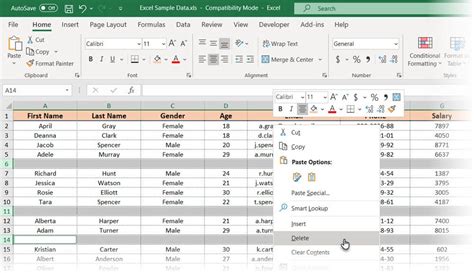 Delete Excel Rows Manually