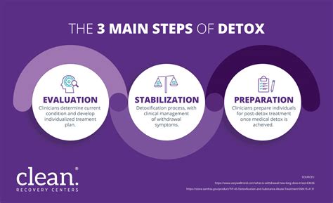 Description of Detoxification Process