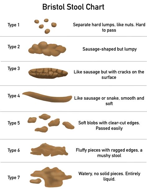 Diagram of Bristol Stool Chart