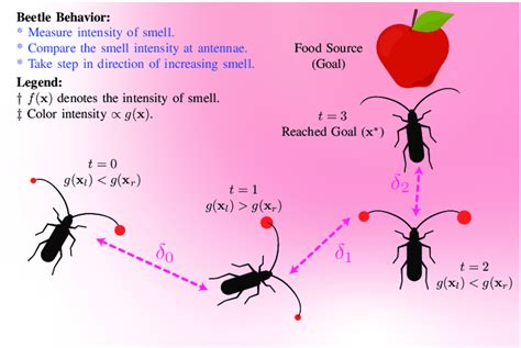 Diet and Foraging Behavior of Beetles