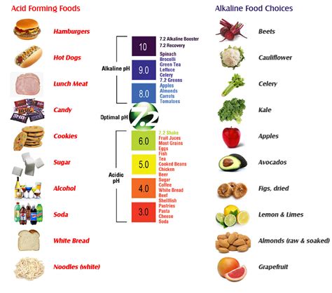 Dietary Recommendations For Alk Phos