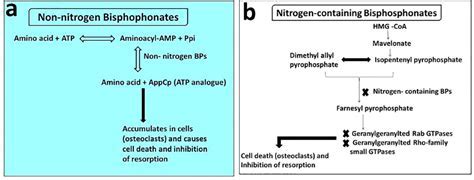 Working Mechanisms of Dimery Rogers