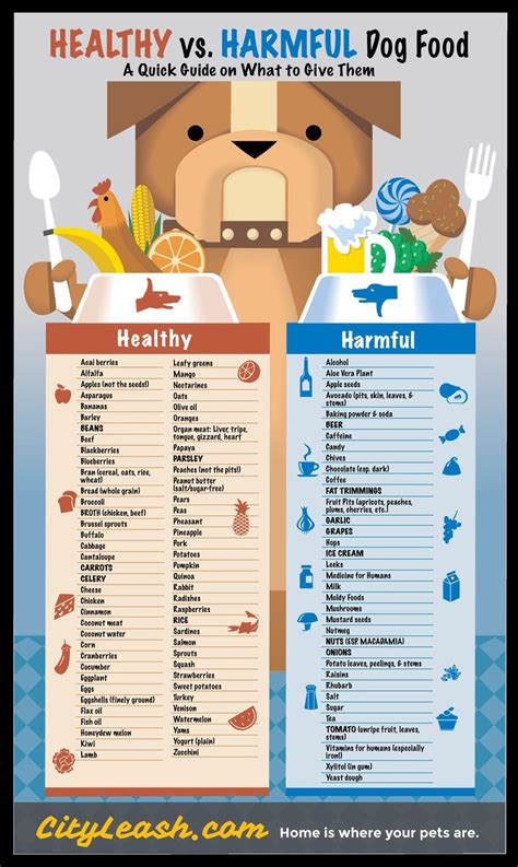 Dog Food Safety Awareness