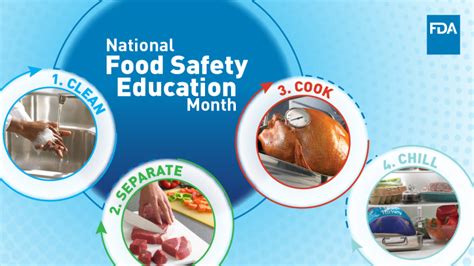 Dog Food Safety Education