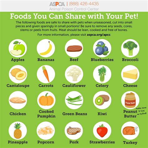 Dog Food Safety Resources