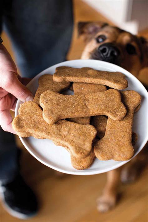 Dog Treats