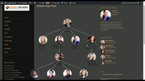 Dynamic Org Chart Tool