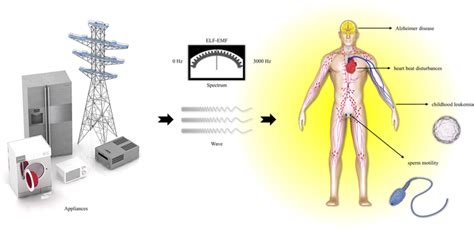 ELF Exposure Health Risks