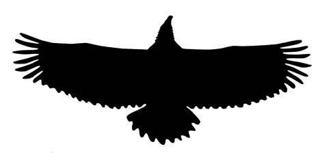 Eagle silhouette with wings in full span