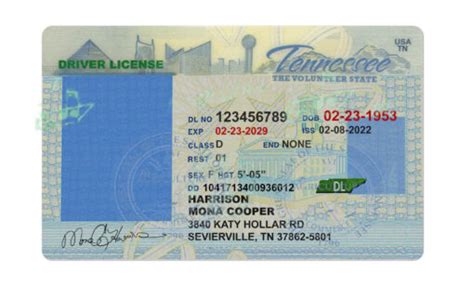 Editable Tennessee Driver's License