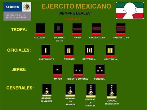 Estructura del Ejército Mexicano