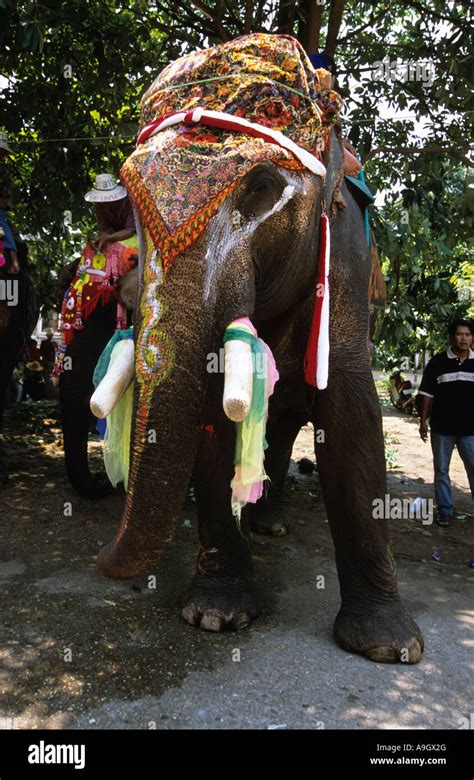 Elephant Walk Ceremonial