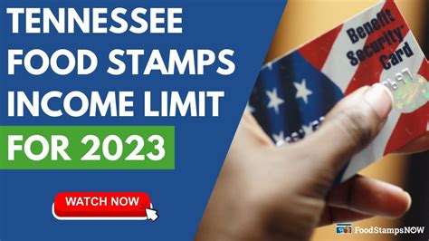 Elizabethton Tennessee Food Stamp Benefits