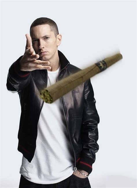 Meme where Eminem throws a challenge