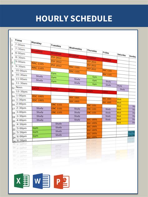 Example of Hour-by-Hour Schedule Template