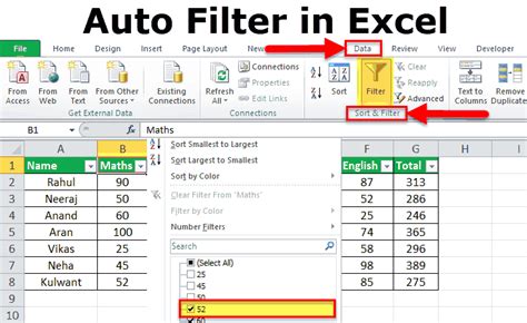 Excel AutoFilter Feature