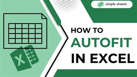 Excel AutoFit feature