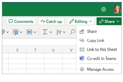 Excel Co-authoring