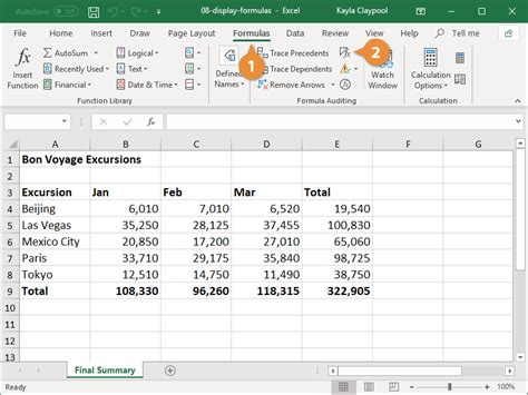 Understanding Excel Display Capabilities