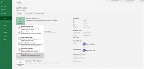 Excel File Locking Prevention