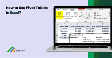 Excel Pivot Table Example