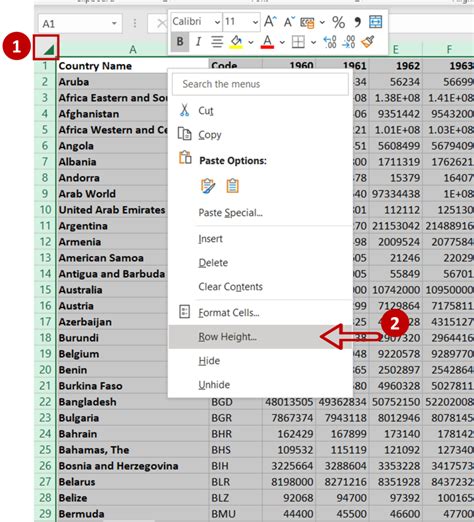 Excel Row Expansion Best Practices