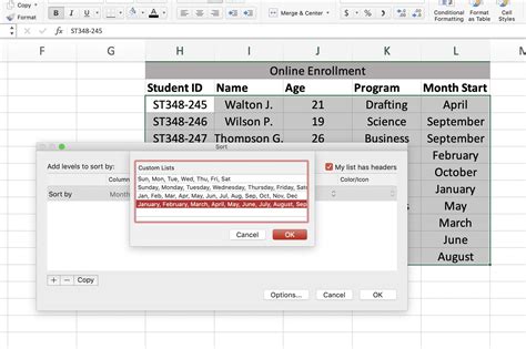 Excel Sorting Options