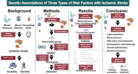 Understanding Genetic Health Risks Through DNA Testing