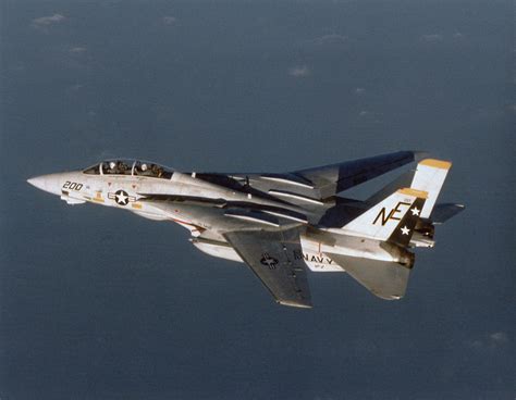 F-14 Tomcat in flight