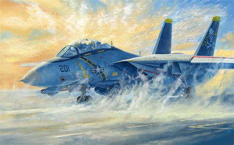 F-14 Tomcat artwork