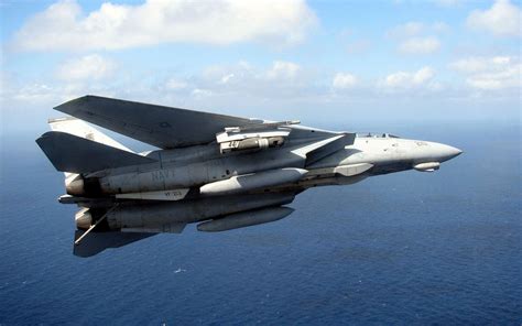 F-14 Tomcat in flight