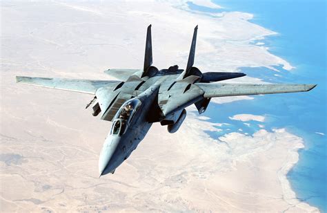 F-14 Tomcat in flight