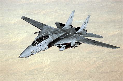 F-14 Tomcat In-Flight