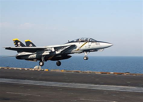 F-14 Tomcat in flight