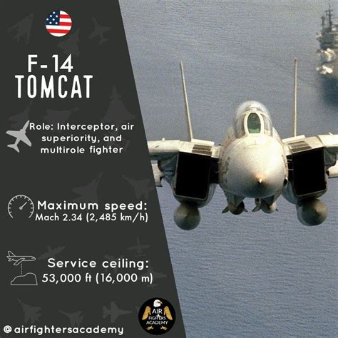 F-14 Tomcat in flight