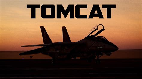 F-14 Tomcat training