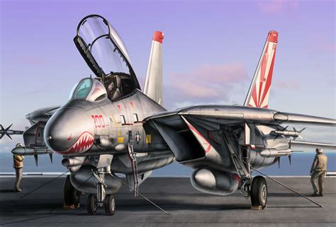 F-14 Tomcat artwork