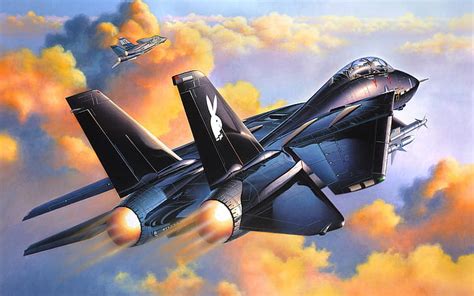 F-14 Tomcat Desktop Wallpaper