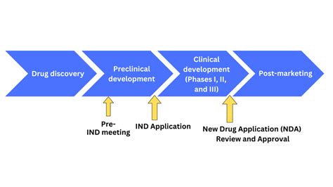 FDA Submission Process