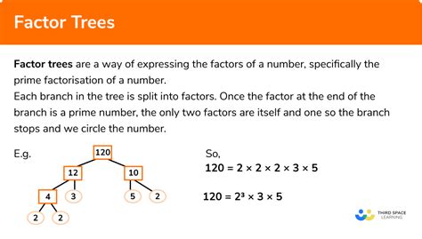 Factor Tree Example