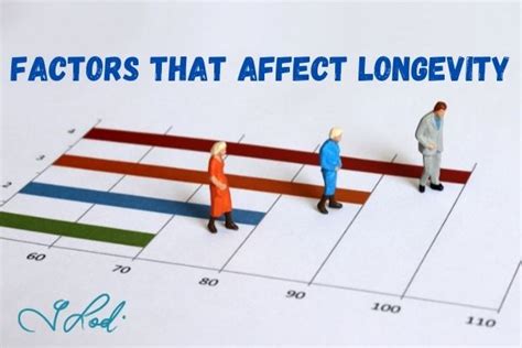 Factors influencing the lifespan of Tamworth pigs