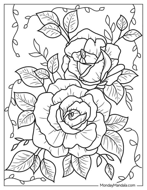 Roses coloring page