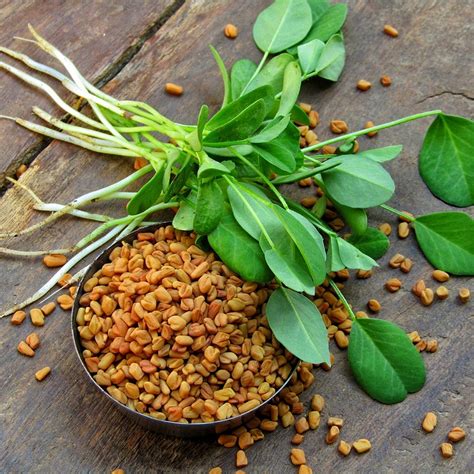 Fenugreek for Diabetes