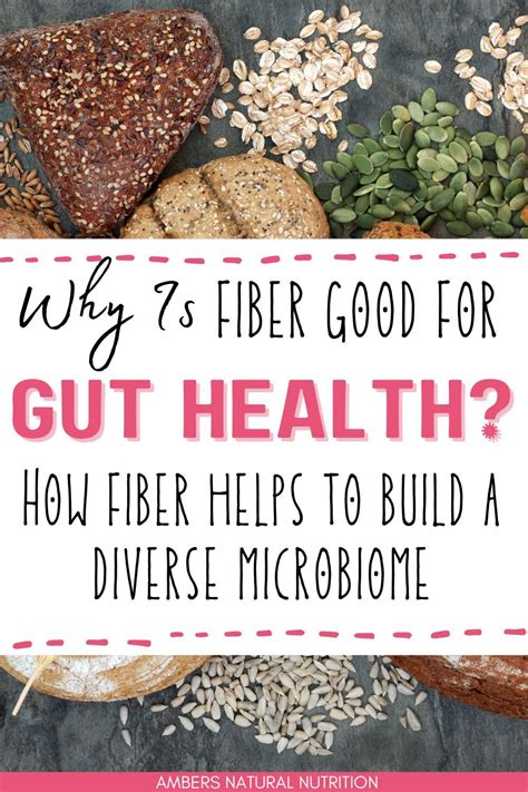 Fiber and Gut Health