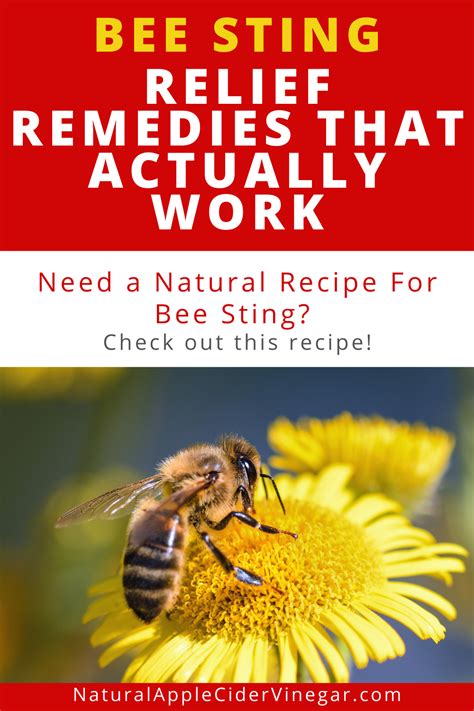 Final Thoughts On Natural Remedies For Bee Sting Relief