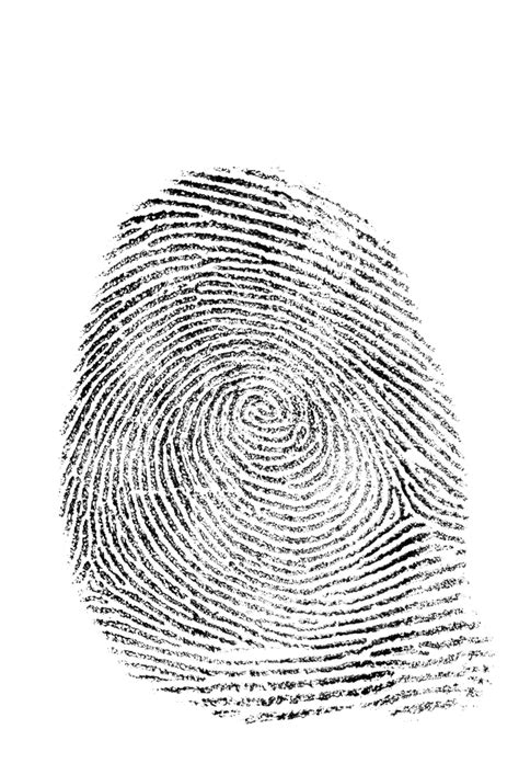 Fingerprint Geometric Art