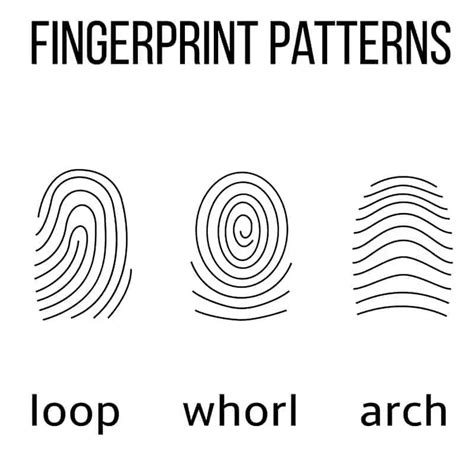 Fingerprint Patterns Art