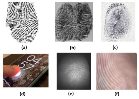 Fingerprinting for Background Check